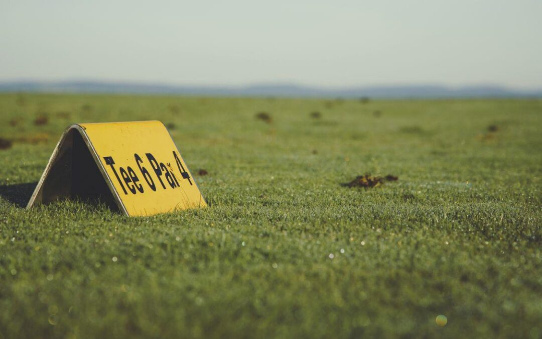 How to Make Your Charity Golf Event Feel More Professional