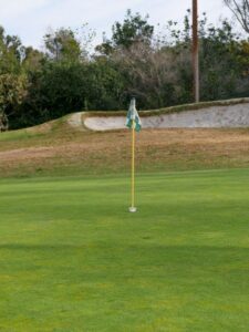 a flag on the green