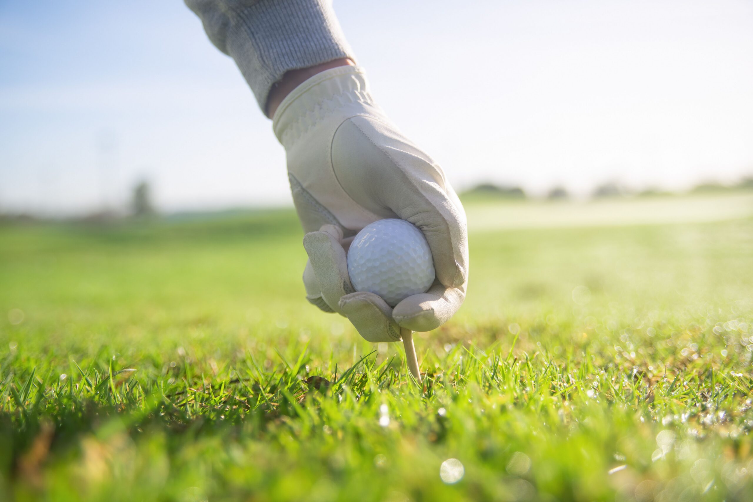 Person holding a golf ball on the fairway