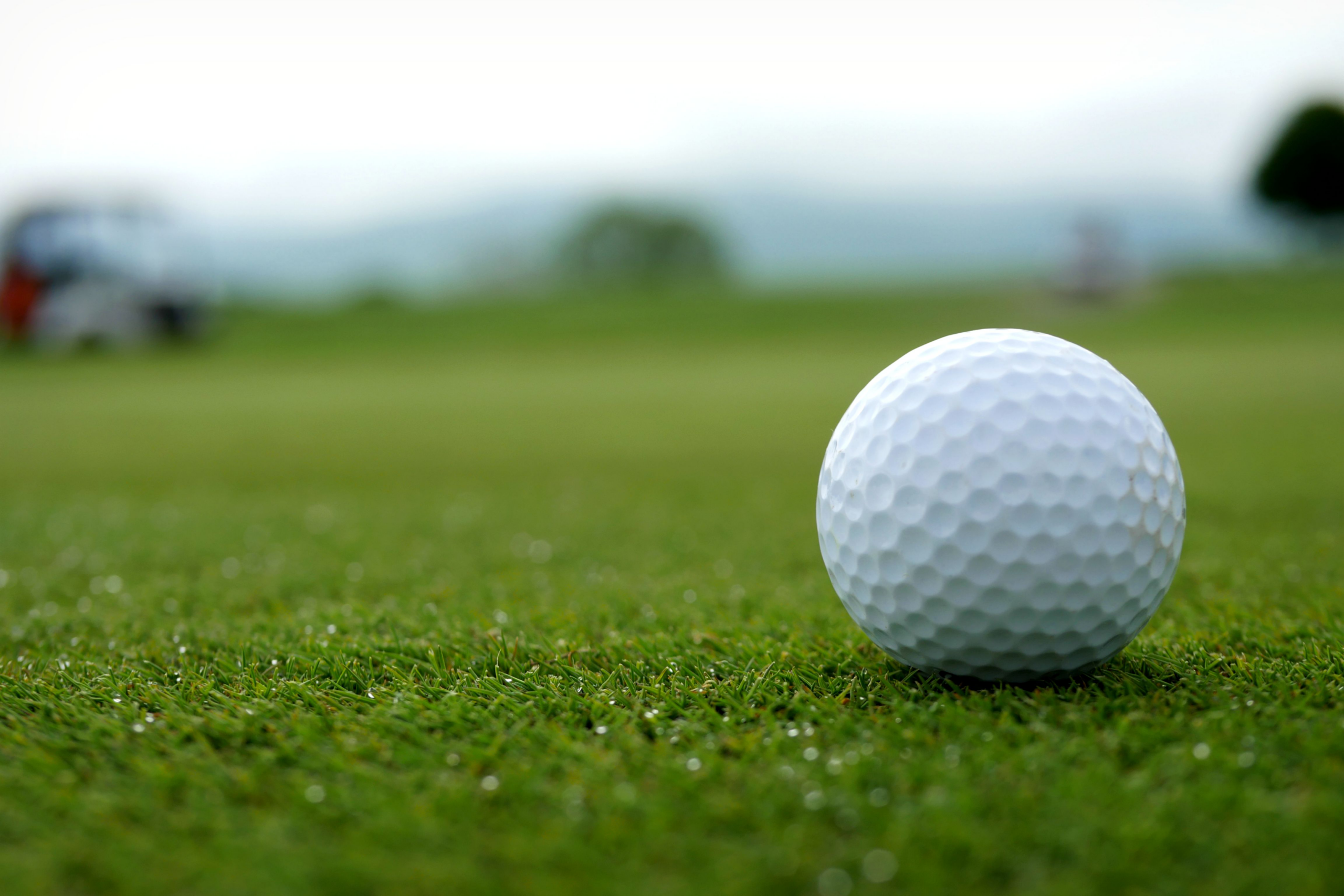 White golf ball resting on a green fairway